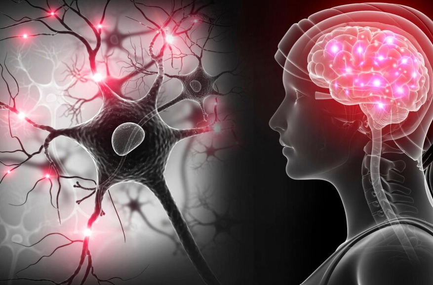 Global Summit on Neurology & Brain Disorders (GSNBD26)